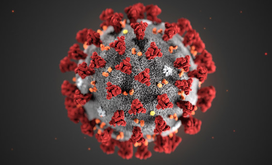Foto particula virus