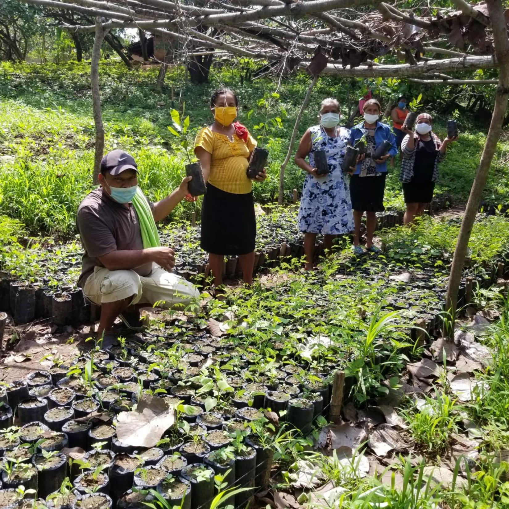 mujeres y hombre sostienen plantas a sembrar en vivero 