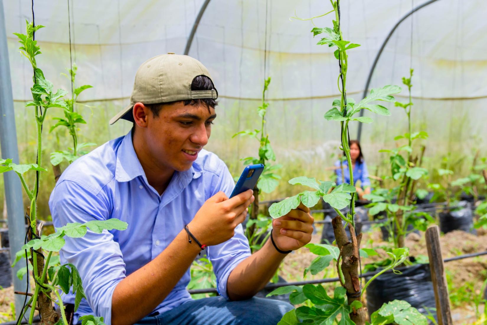 Joven vestido con una camisa azul clara y una gorra beige, sentado en un invernadero rodeado de plantas. Está sosteniendo un teléfono móvil con una mano mientras observa una de las hojas de las plantas con la otra.