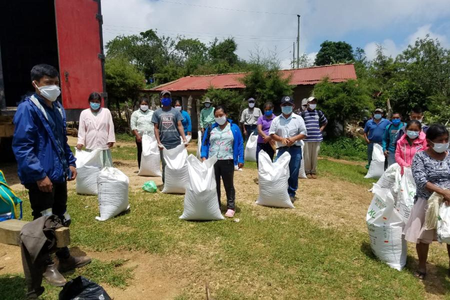 Beneficiarios de entrega de insumos agrícolas usando mascarillas junto a sus sacos con insumos recibidos.