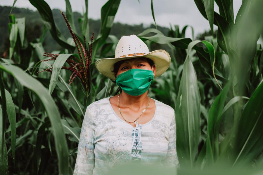 Mujer agricultora en sus cultivos viendo a cámara usando una mascarilla como prevención de la COVID-19