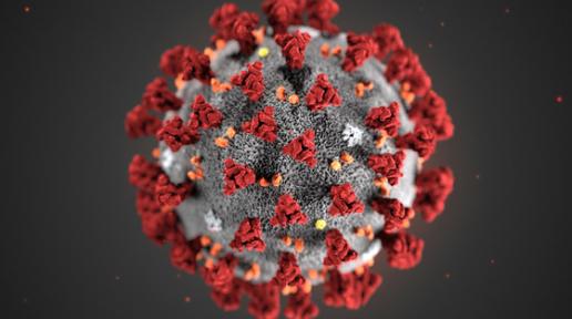 Foto particula virus