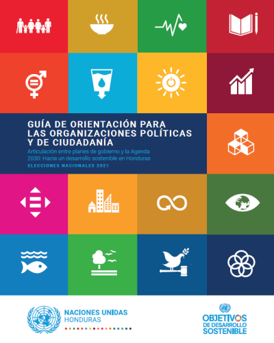 Portada de Guia de Orientación para las Organizaciones Politicas y de Ciudadanía