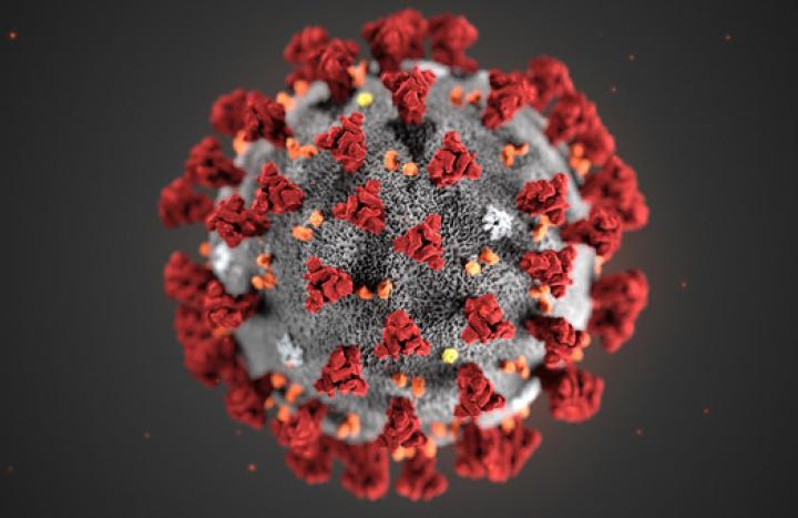 Foto particula virus