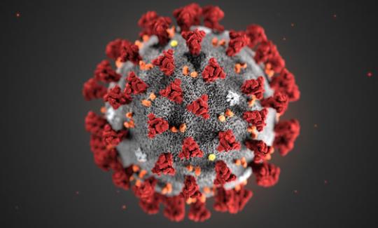 Foto particula virus