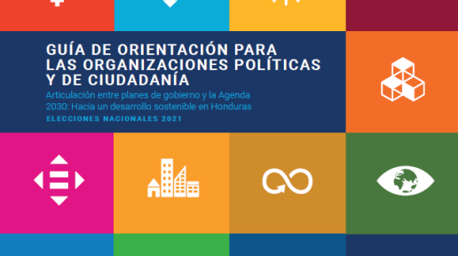 Portada de Guia de Orientación para las Organizaciones Politicas y de Ciudadanía